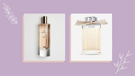 zara perfume dupe chloe|zara rose gourmand dupe.